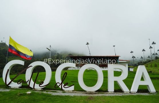 Valle del Cocora desde Medellín