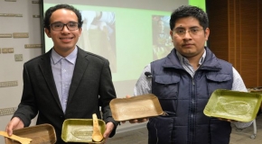 Jóvenes peruanos crean platos biodegradables a base de hoja de plátano
