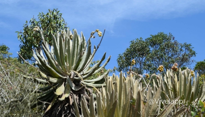 Paramo de Belmira, ecoturismo en antioquia