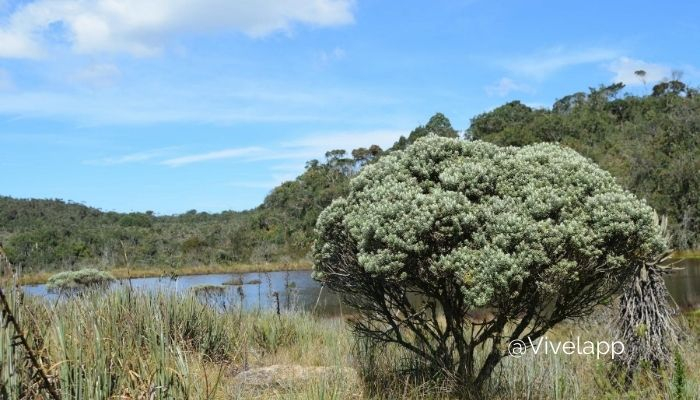 paramo de santa ines, belmira, ecoturismo