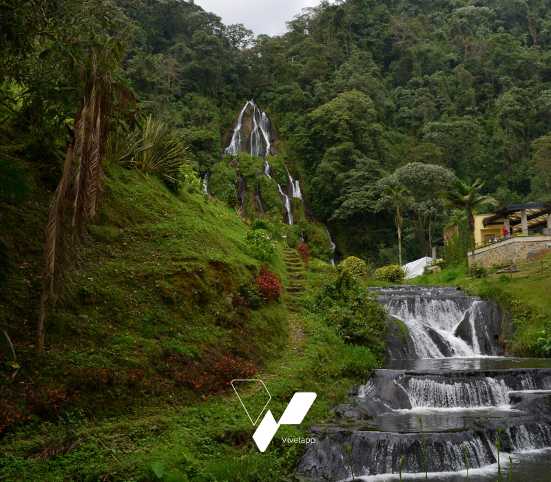 tours al eje cafetero desde medellin